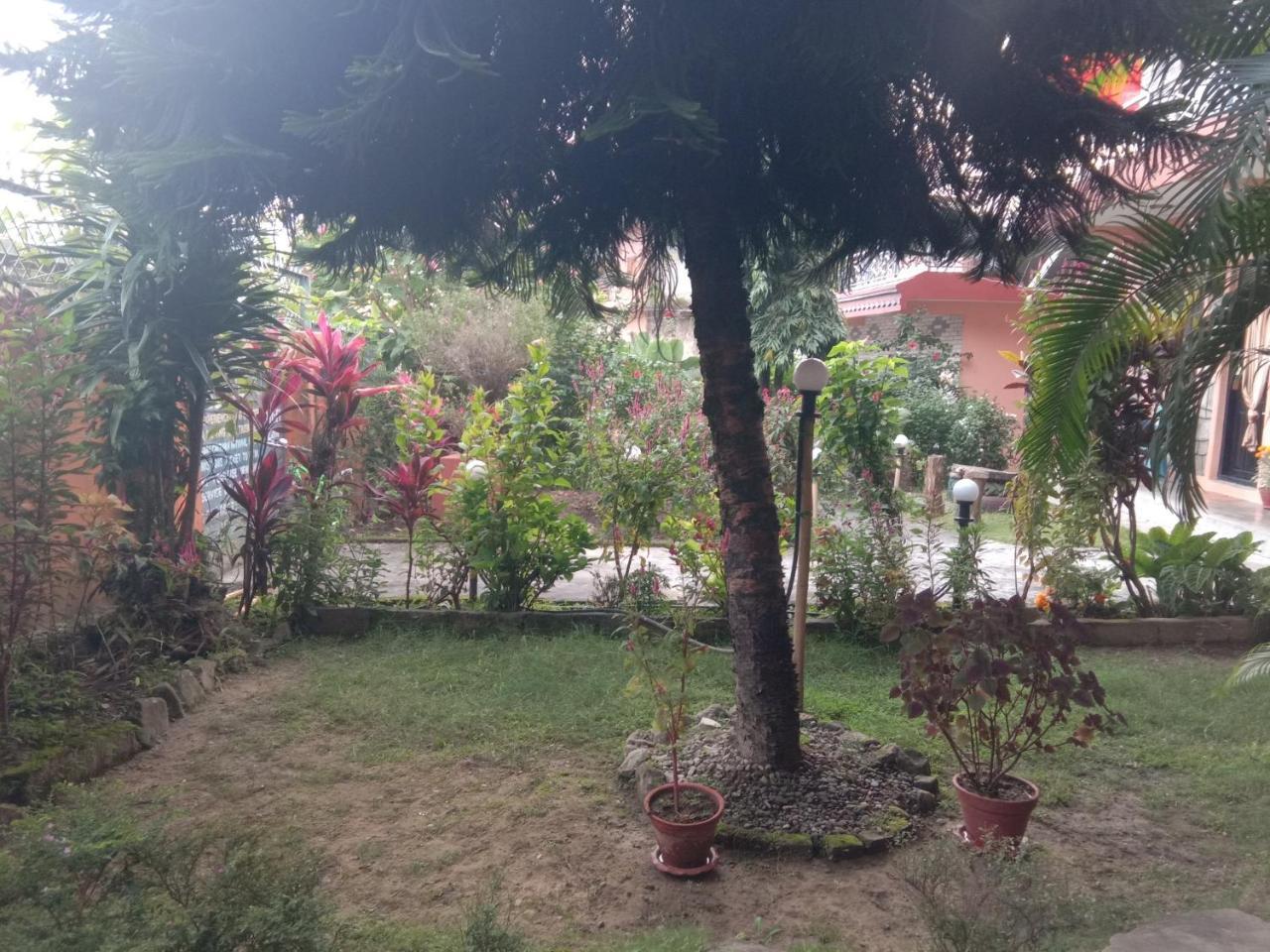 Kalpana G. House Hotel Pokhara Exterior foto